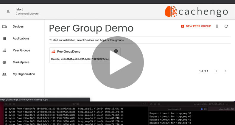 Peer Group (Video Demo)
