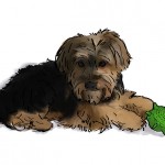 Digital painting of this puppy and his toy